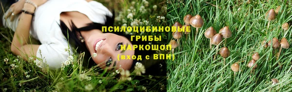 спиды Алексеевка