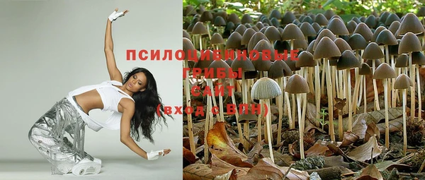спиды Алексеевка