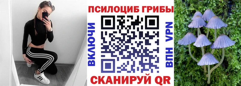 цена наркотик  Пустошка  Галлюциногенные грибы мухоморы 
